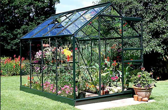 Greenhouse glass cut to size and whilst you wait - an image of a green house