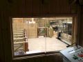 Chessington-World-of-Adventures-Glass-work_13