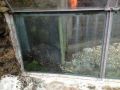 Chessington-World-of-Adventures-Glass-work_17
