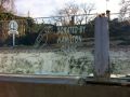 Chessington-World-of-Adventures-Glass-work_20