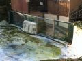 Chessington-World-of-Adventures-Glass-work_21