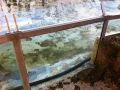 Chessington-World-of-Adventures-Glass-work_35
