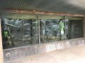 Chessington-World-of-Adventures-Glass-work_44